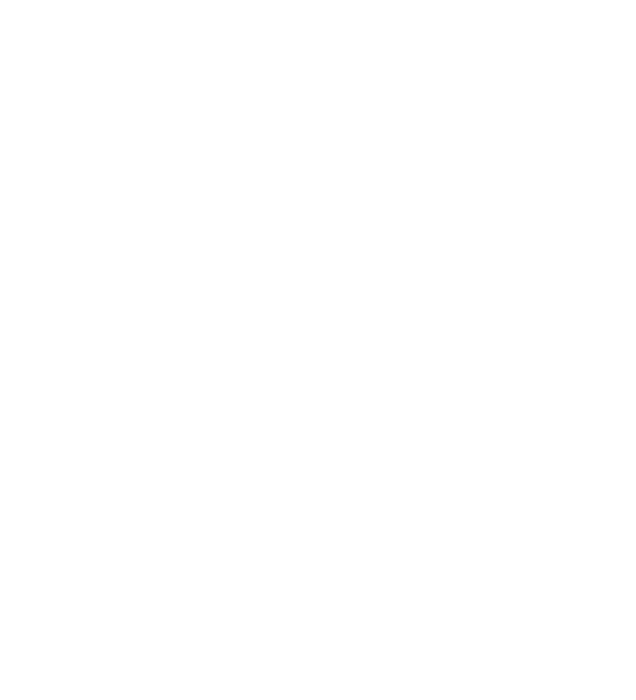 Ilustração do Seo Faustino